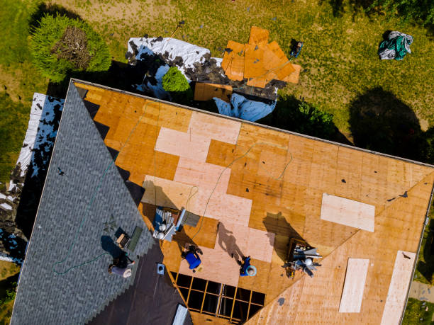 Best New Roof Installation  in Davisboro, GA