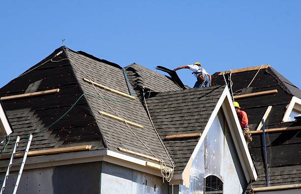 Best Roof Repair Specialists  in Davisboro, GA