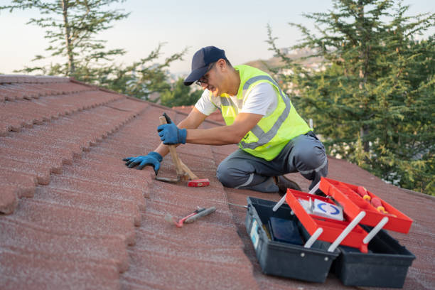 Best Roof Maintenance Services  in Davisboro, GA