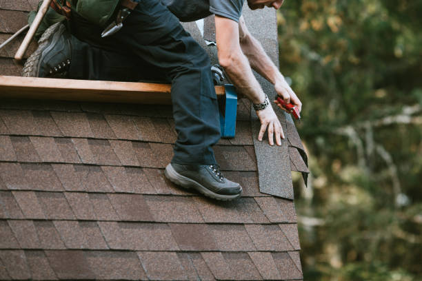 Best Commercial Roof Installation  in Davisboro, GA