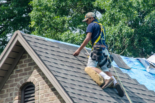 Best Roof Gutter Cleaning  in Davisboro, GA