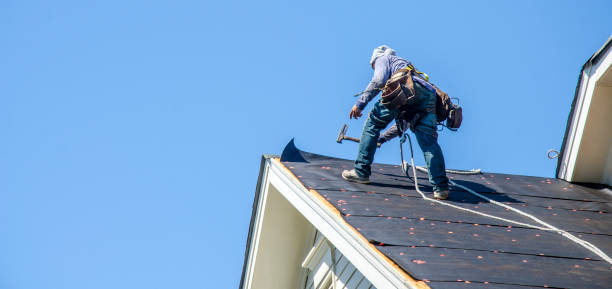 Best Gutter Installation and Roofing  in Davisboro, GA